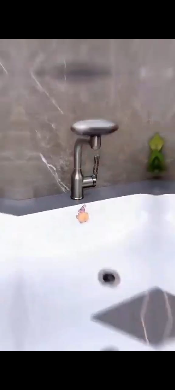 Multifunctional Bathroom Tap